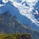 swiss