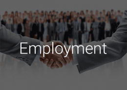 Employment Foreign&Iranian-Daad&Kherad Lawfirm