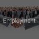 Employment Foreign&Iranian-Daad&Kherad Lawfirm